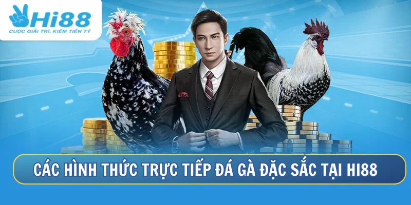 Các hình thức đá gà hấp dẫn không thể bỏ qua