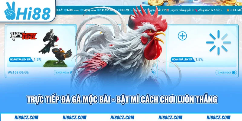 Trực Tiếp Đá Gà Mộc Bài - Bật Mí Cách Chơi Luôn Thắng