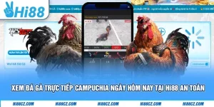 Xem Đá Gà Trực Tiếp Campuchia Ngày Hôm Nay Tại Hi88